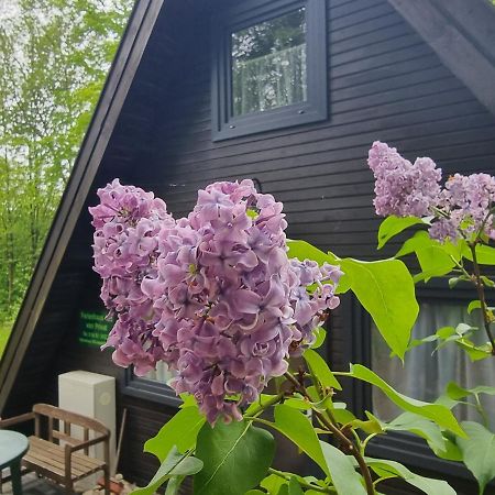 Ferienhaus Marie 125 バート・アロルゼン エクステリア 写真
